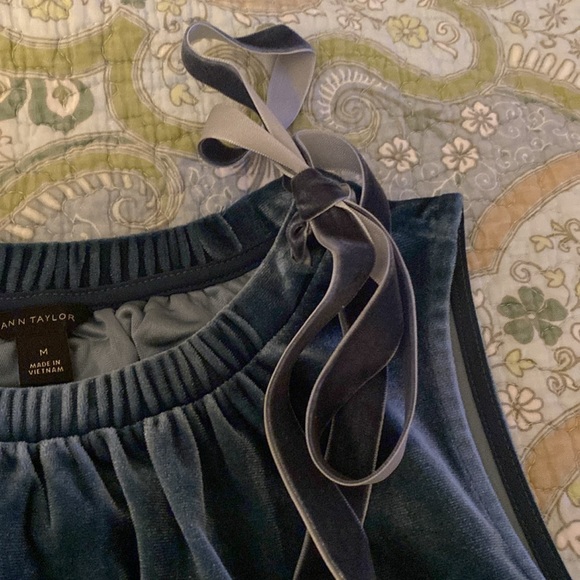 Ann Taylor Velvet Blouse - Picture 3 of 3